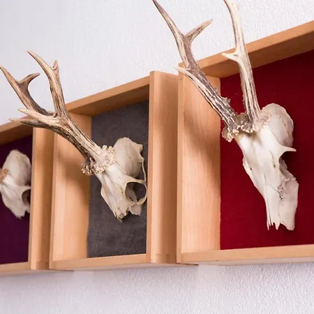 Poettler 펜션 운테르타우언