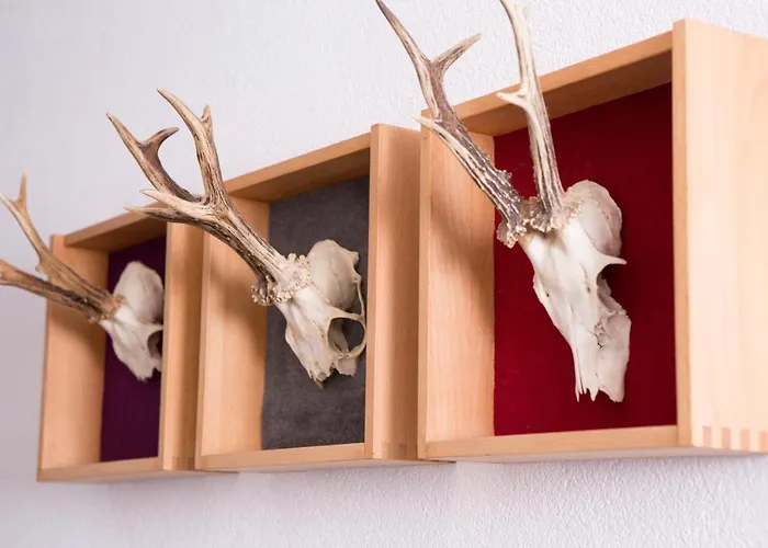 Poettler Hébergement de vacances Untertauern