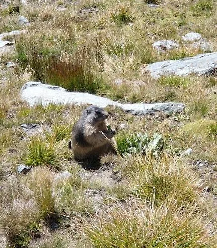 Сasa de vacaciones Poettler Untertauern